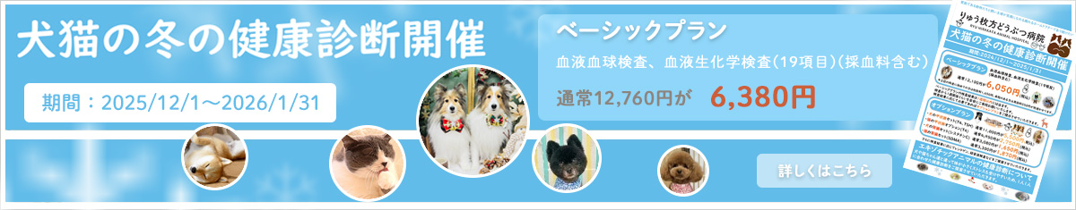 犬猫の冬の健康診断