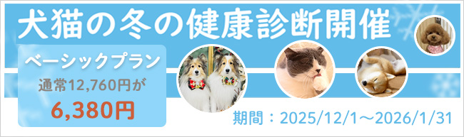 犬猫の冬の健康診断