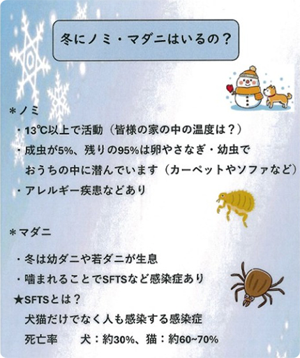 冬にノミ・マダニはいるの？