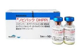 ノビバックDHPPi(5種混合ワクチン)