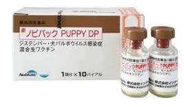 ノビバック PUPPY DP(2種混合ワクチン)