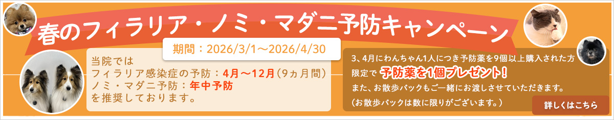 春のフィラリア・ノミ・マダニ予防キャンペーン