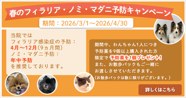 春のフィラリア・ノミ・マダニ予防キャンペーン